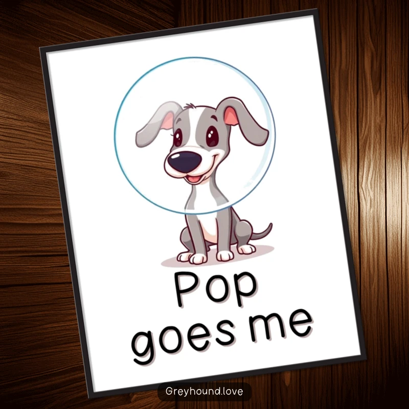 Funny Poster: A playful greyhound boops a large, floating bubble with its wet nose, showcasing funny innocence and delight.